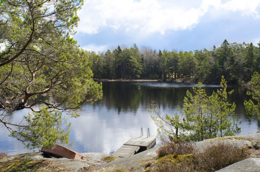 Sjö och skogsmiljö i Sverige där fästingar kan förekomma
